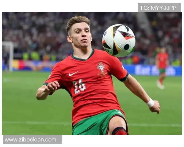 葡萄牙足球明星的成长之路与辉煌成就解析 葡萄牙足球明星的成长之路与辉煌成就解析