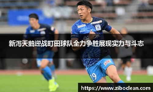 八大胜官方网址方